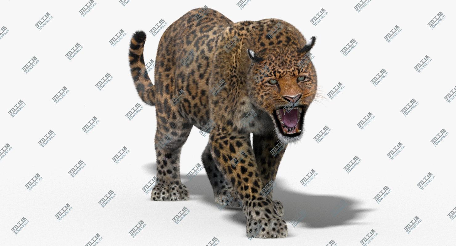 images/goods_img/202105072/3D model Big Cats Animated (Fur)/5.jpg